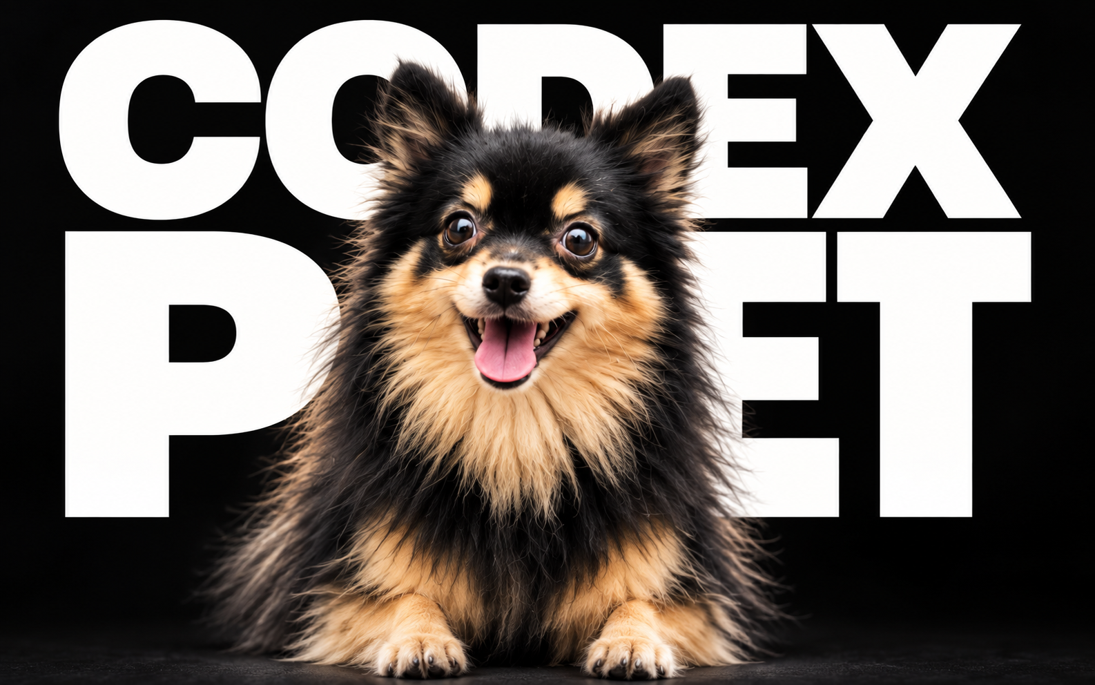 Sheena smiling in the foreground with CODEX PET lettering behind her