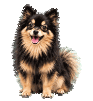 Animated Sheena raising a paw in a happy greeting.